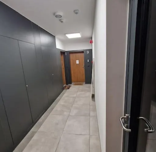 Apartmán Dmowskiego Poznaň