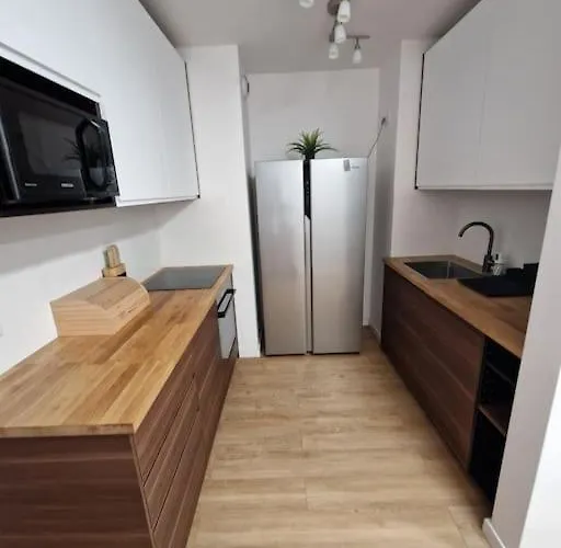 Apartment Dmowskiego